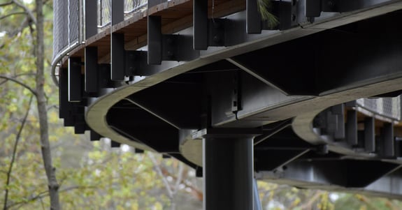 The underside of the Whiting Forest of Dow Gardens Canopy Walk. Photo courtesy of Herbert H. and Grace A. Dow Foundation.
